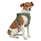 Trixie Hondentuig Urbanvest Mesh Olijfgroen hondenhalsband hondenriem