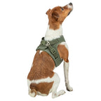 Trixie Hondentuig Urbanvest Mesh Olijfgroen hondenhalsband hondenriem