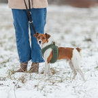 Trixie Hondentuig Urbanvest Mesh Olijfgroen hondenhalsband hondenriem