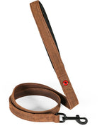 Zolux Expert Hondenriem Premium Leer / Neopreen hondenhalsband