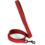 Zolux Expert Hondenriem Premium Leer / Neopreen hondenhalsband