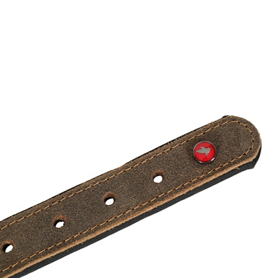 Zolux Expert Halsband Hond Premium Leer / Neopreen Bruin hondenhalsband hondenriem