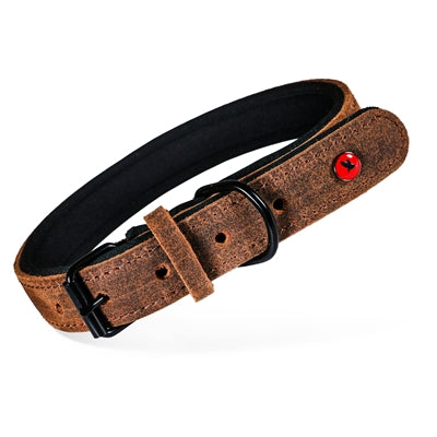 Zolux Expert Halsband Hond Premium Leer / Neopreen Bruin hondenhalsband hondenriem