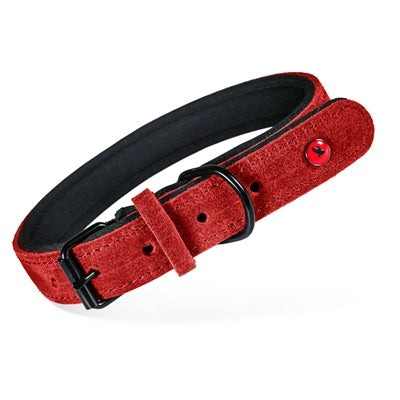 Zolux Expert Halsband Hond Premium Leer / Neopreen Rood hondenhalsband hondenriem