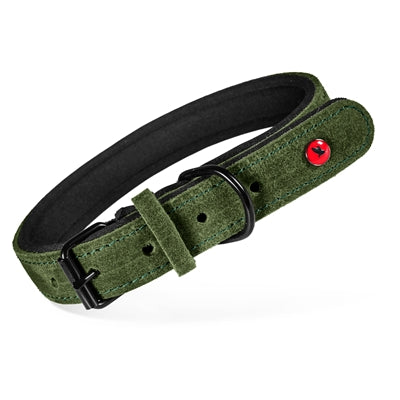 Zolux Expert Halsband Hond Premium Leer / Neopreen Groen hondenhalsband hondenriem