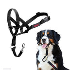 The Company Of Animals Company of Animals Halti Headcollar Zwart hondenhalsband hondenriem