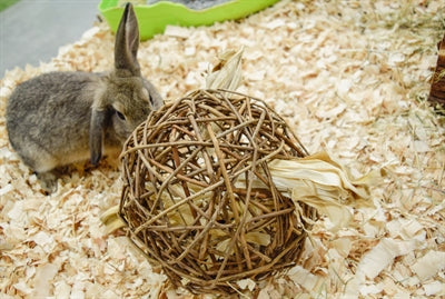 Happy Pet Speelbal Wilg Nature First knaagdierspeelgoed