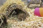 Happy Pet Speelbal Wilg knaagdierspeelgoed