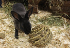 Happy Pet Speelbal Wilg knaagdierspeelgoed