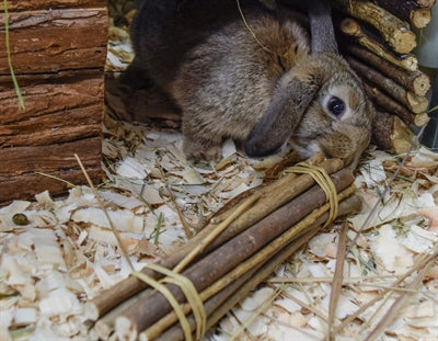 Nature First Happy Pet Willow Sticks knaagdierspeelgoed 26x5X5 cm