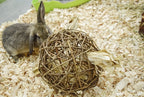 Happy Pet Speelbal Wilg Nature First knaagdierspeelgoed