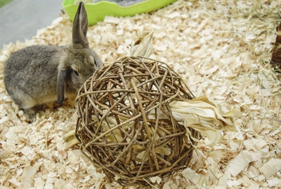 Happy Pet Speelbal Wilg Nature First knaagdierspeelgoed