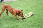 Happy Pet King Size Tug Flostouw hondenspeelgoed L 101x18 cm