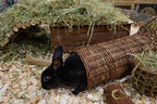 Nature First Happy Pet Wilgen Tunnel knaagdierspeelgoed