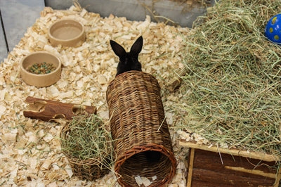 Nature First Happy Pet Wilgen Tunnel knaagdierspeelgoed