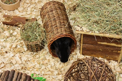 Nature First Happy Pet Wilgen Hooirek knaagdierspeelgoed 14x12x9 cm