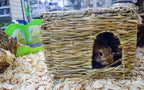 Nature First Happy Pet Grassy Hideaway Verstopplek knaagdierspeelgoed Large 36x27x18 cm