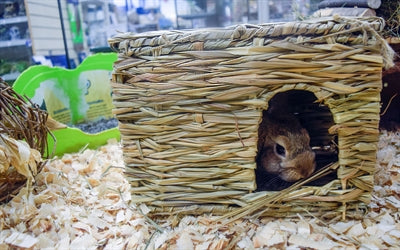 Nature First Happy Pet Grassy Hideaway Verstopplek knaagdierspeelgoed Large 36x27x18 cm