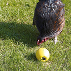 Savic Kippenspeeltje Chicken Fun vogelspeelgoed 7,5x8 cm