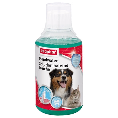 BEAPHAR MONDWATER 250 ML