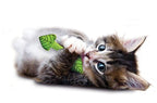 Petstages Fresh Breath Mint Stick kattenspeelgoed
