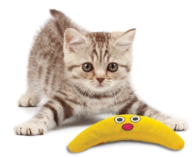 Petstages Green Magic Boomerang Buddy kattenspeelgoed 23,5x10x4 cm
