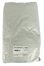 Zonnebloempitten Gestreept vogelvoer zaden 12,5 kg