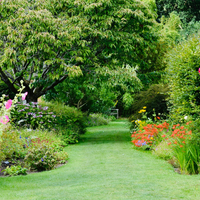 Tuin